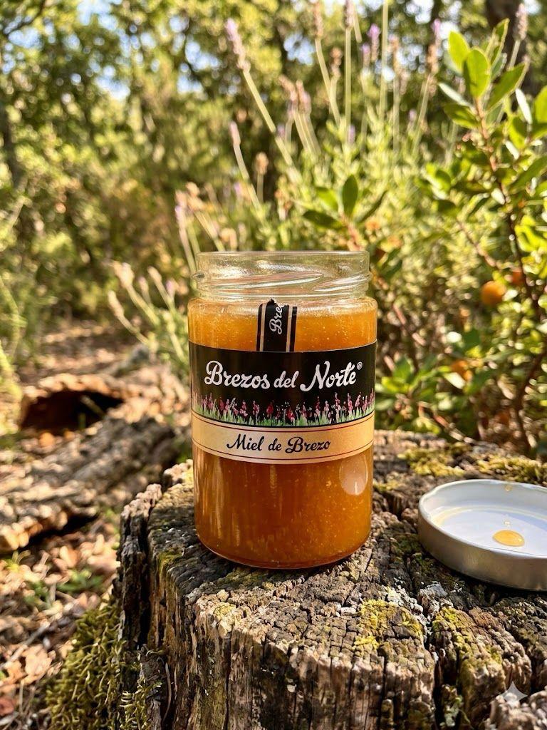 Jar of 'Brezos del Norte' honey on a tree stump with nature in the background